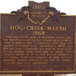 1-33 Hog-Creek Marsh 02