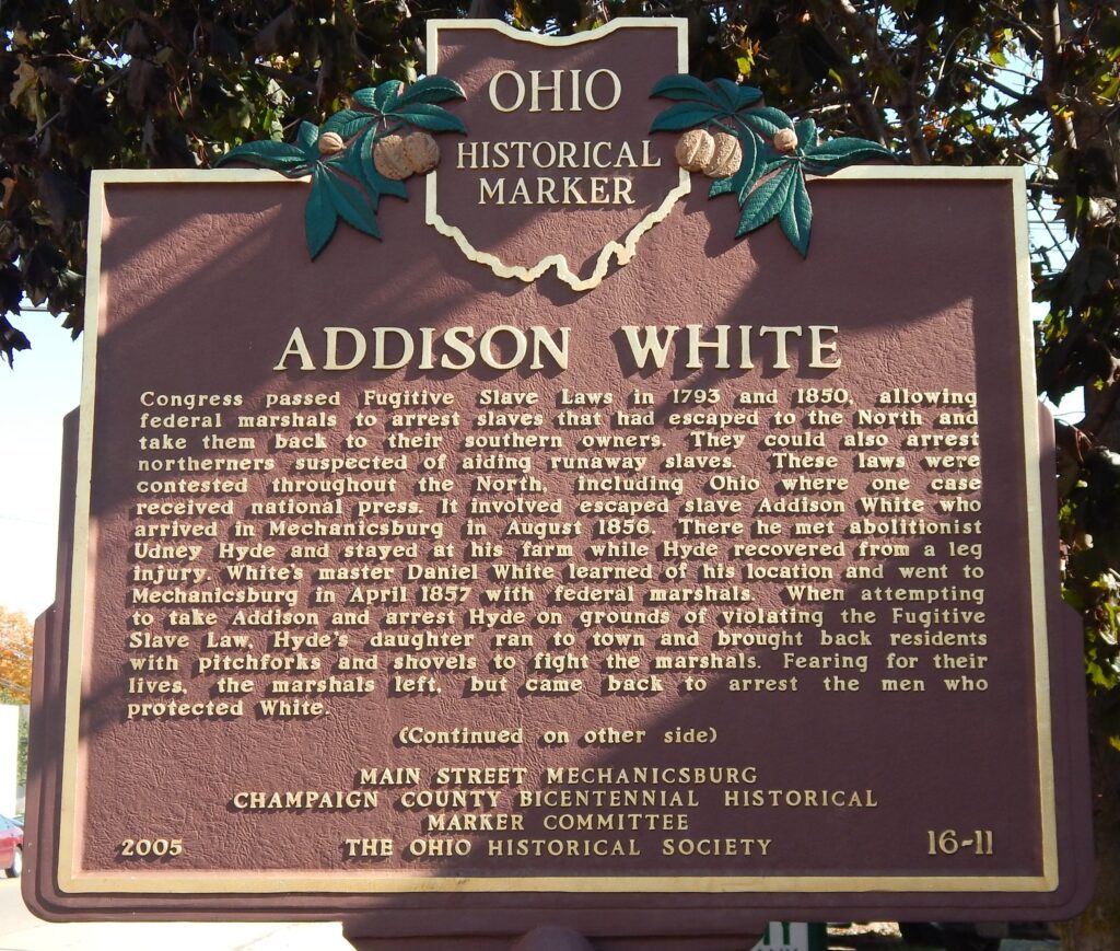 16-11 Addison White 02