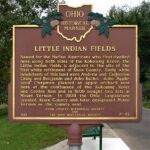 2-42 Little Indian Fields 07