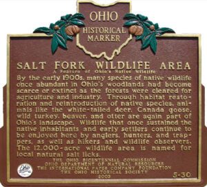 5-30 Salt Fork Wildlife Area - A Feature of Ohios Native Wildlife 00