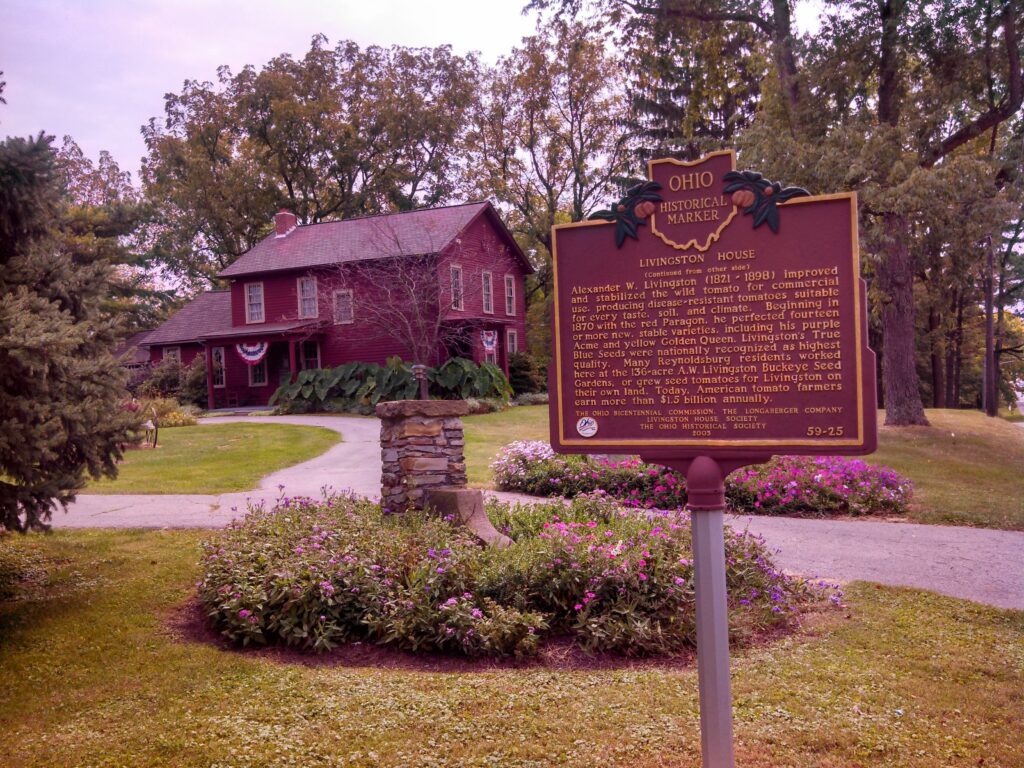 59-25 Livingston House 03