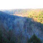 6-3 Clear Fork Gorge-A Feature of Ohios Forests 03