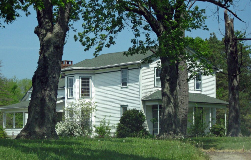 6-4 Betsey Mix Cowles 1810-1876 00