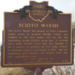 7-33 Scioto Marsh 01