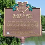 12-62 Magee Marsh Wildlife Area - A Feature of the Great Black Swamp 04
