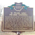3-49 W Pearl King Prairie Savanna 01