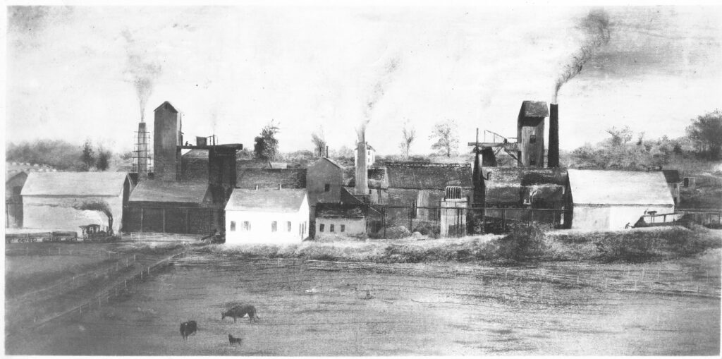 35-78 Mineral Ridge Black Band Ore 00