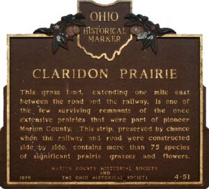4-51 Claridon Prairie 00