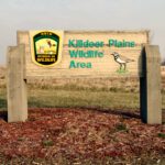 5-88 Killdeer Plains Wildlife Area-A Feature of Ohios Prairies 02
